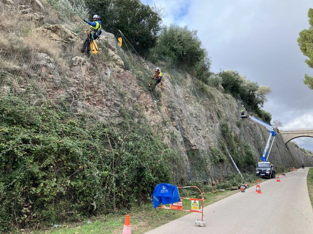 Dévégétalisation de parois