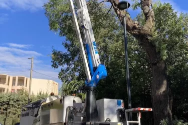 Élagage/Abattage, ville de Béziers Hérault