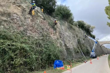 Dévégétalisation de parois